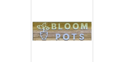 Bloom Pots
