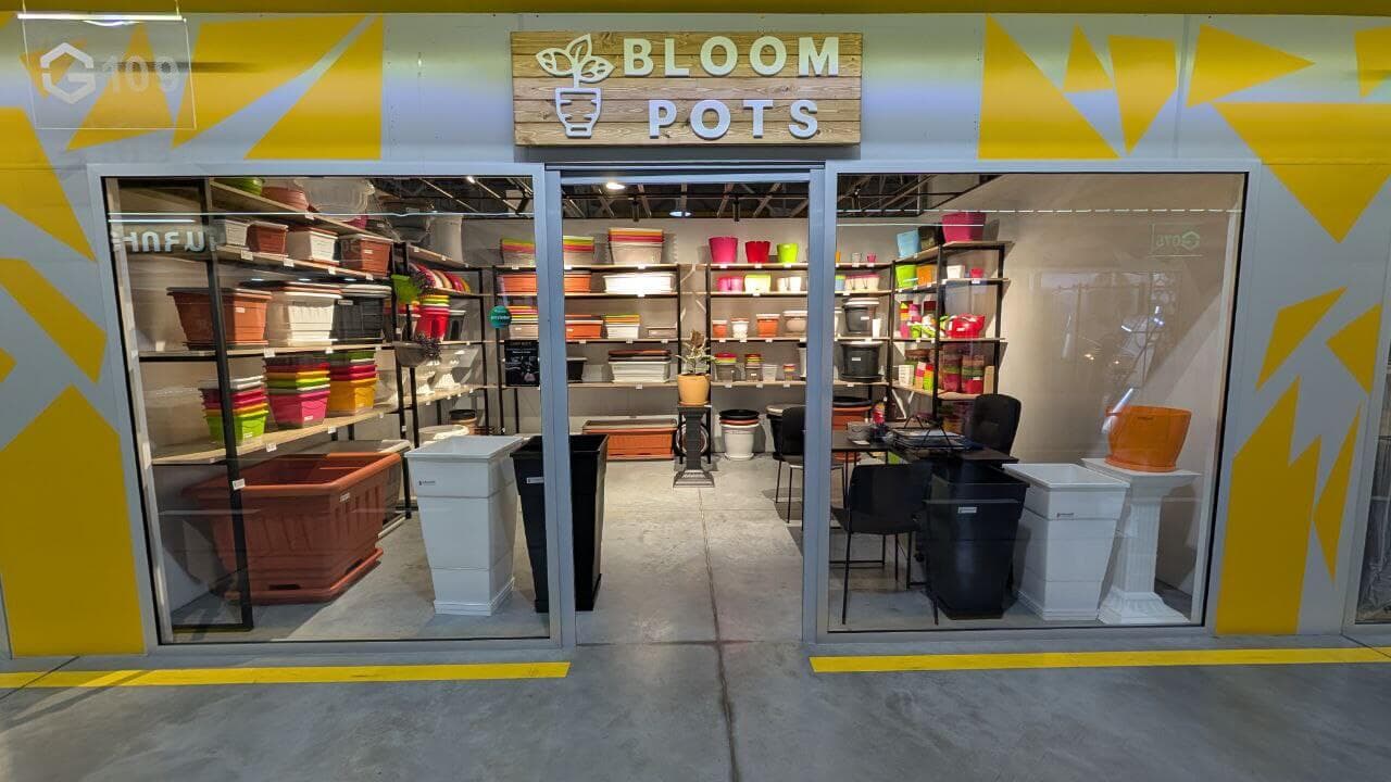 Bloom Pots