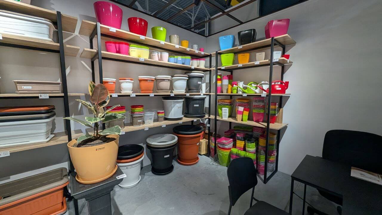 Bloom Pots